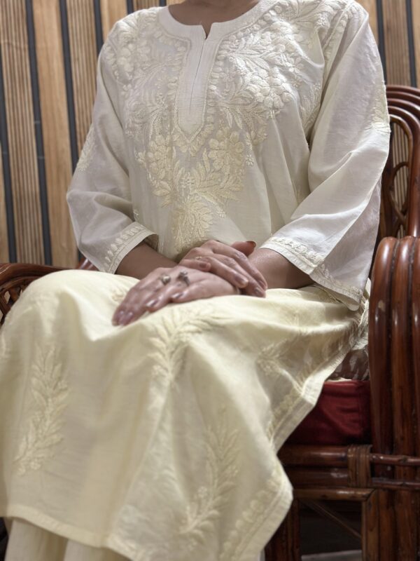 IMG_E4731 Chanderi Co-ord set