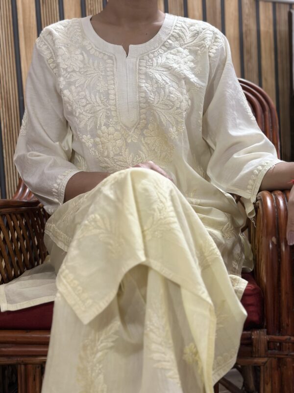 IMG_E4739 Chanderi Co-ord set