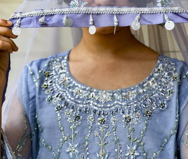 Celestial Blue Embroidered Suit