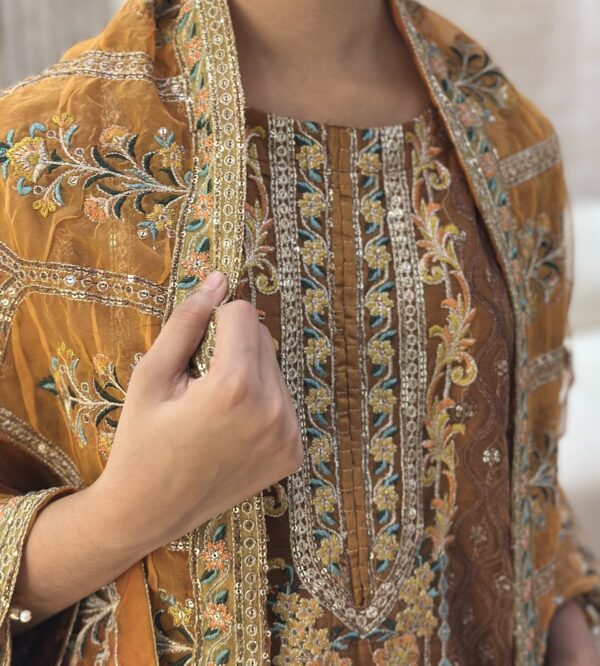 IMG_E3866 Caramel Cascade Pakistani Suit